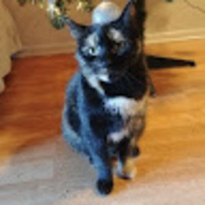 Meet your Posher, Jasmine